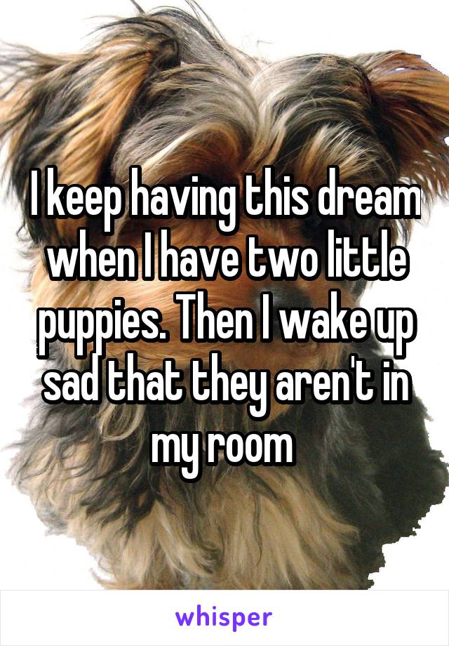 I keep having this dream when I have two little puppies. Then I wake up sad that they aren't in my room 