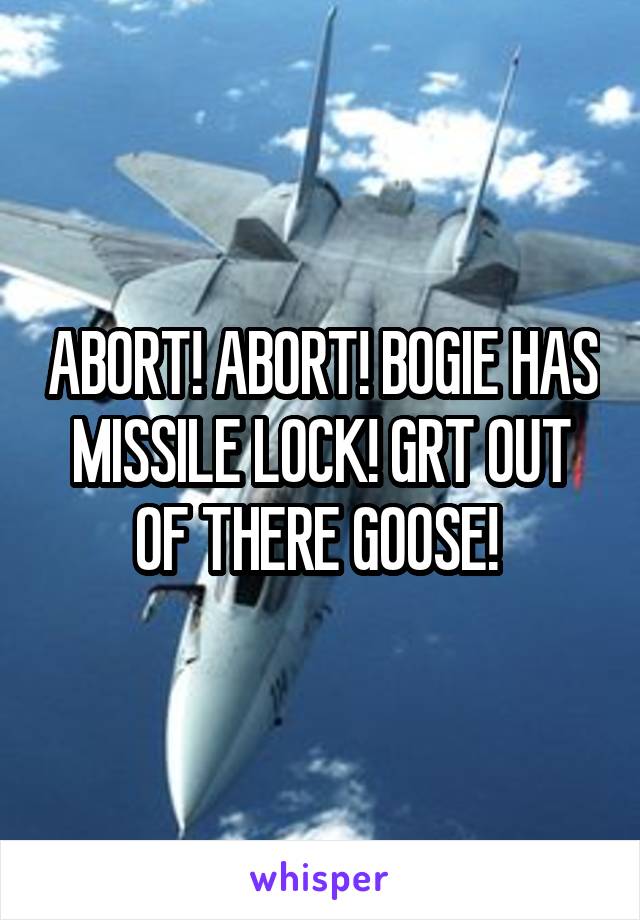 ABORT! ABORT! BOGIE HAS MISSILE LOCK! GRT OUT OF THERE GOOSE! 