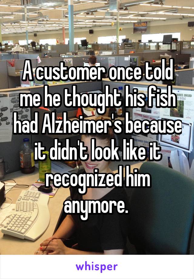 A customer once told me he thought his fish had Alzheimer's because it didn't look like it recognized him anymore. 