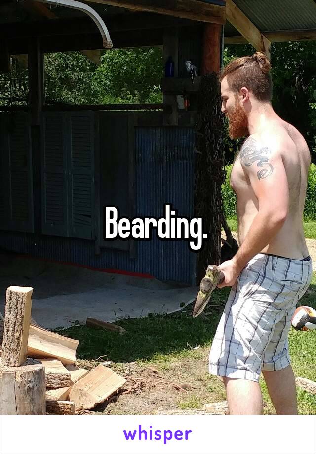 Bearding. 