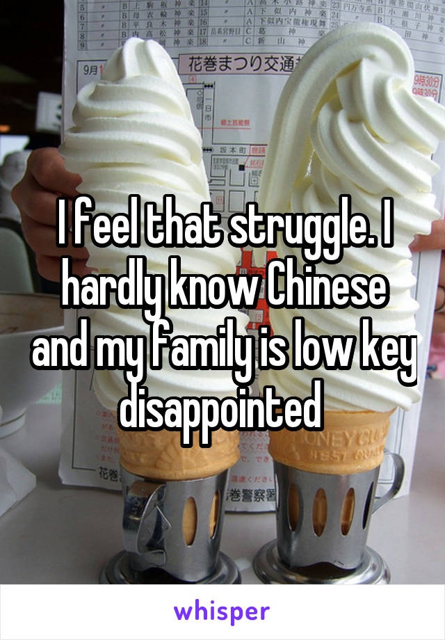 I feel that struggle. I hardly know Chinese and my family is low key disappointed 