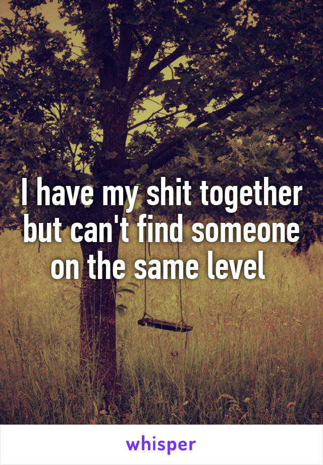 I have my shit together but can't find someone on the same level 