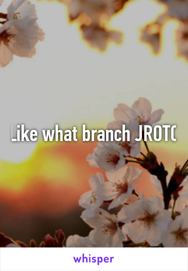 Like what branch JROTC