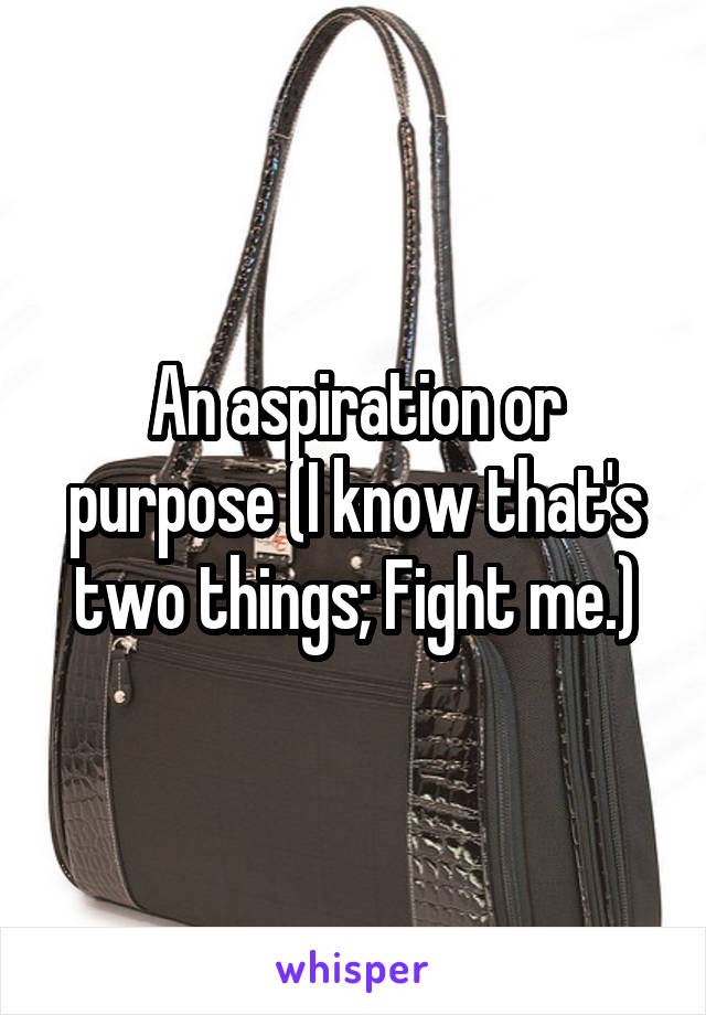 An aspiration or purpose (I know that's two things; Fight me.)