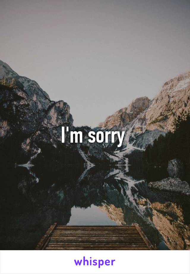 I'm sorry 