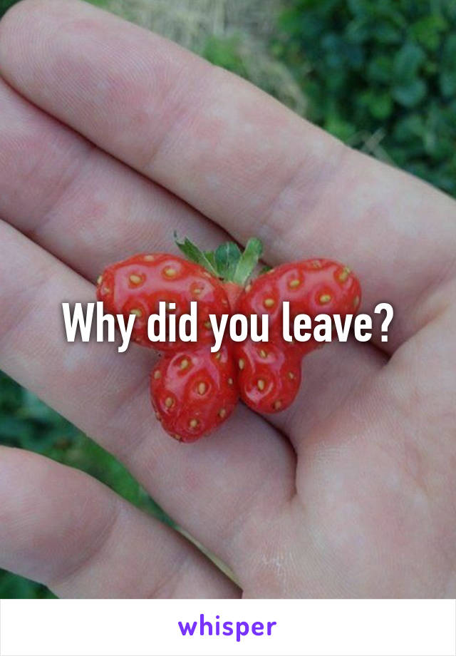 Why did you leave?