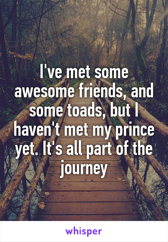 I've met some awesome friends, and some toads, but I haven't met my prince yet. It's all part of the journey