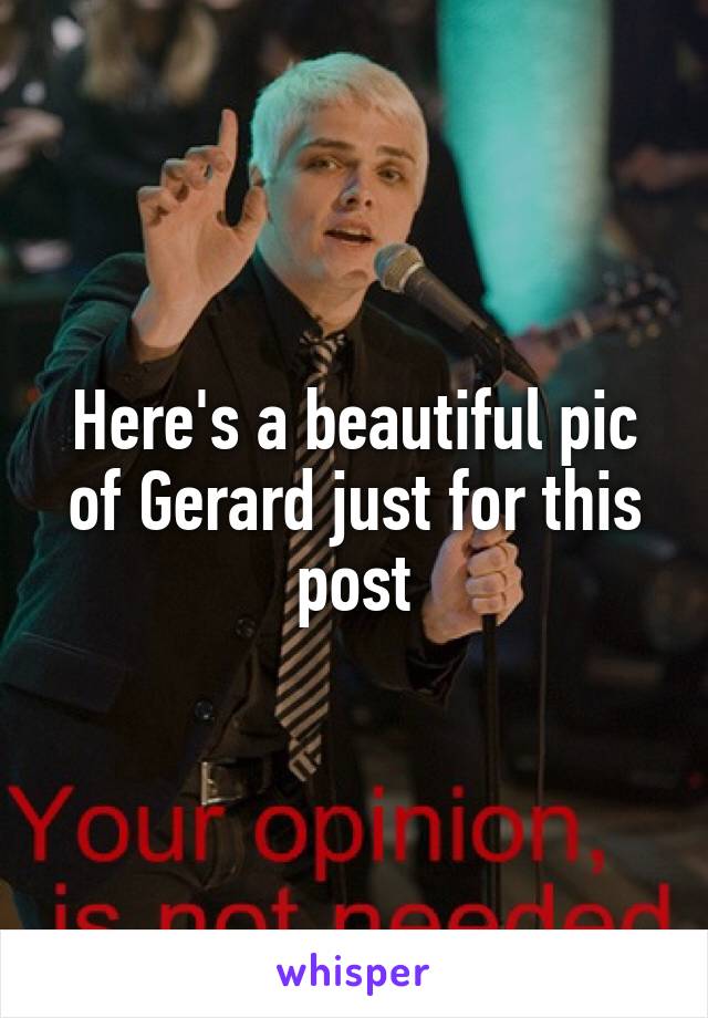 Here's a beautiful pic of Gerard just for this post