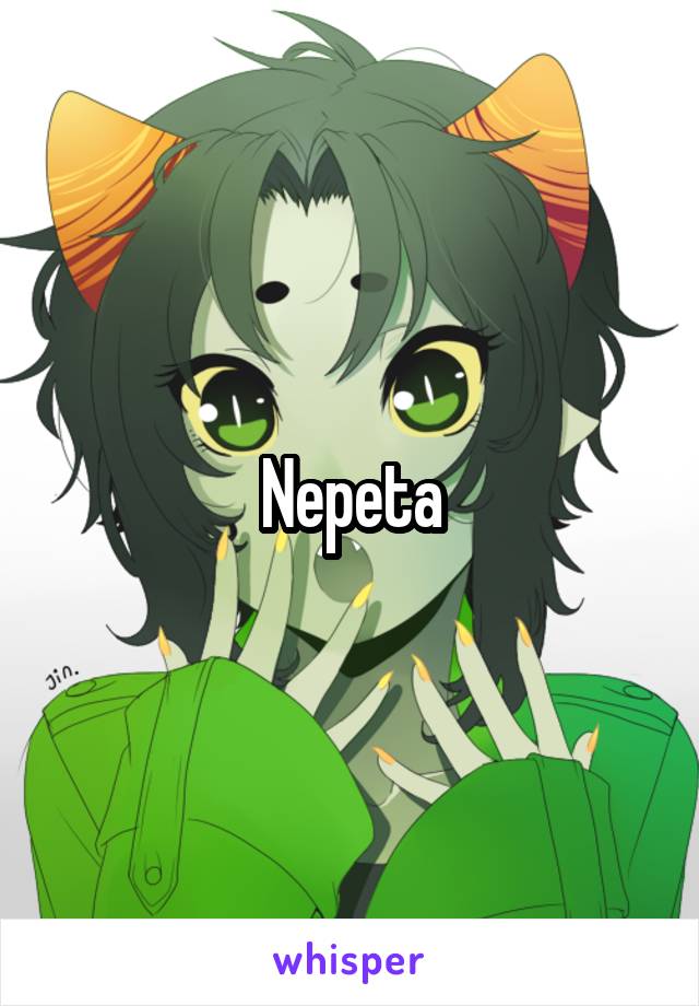 Nepeta
