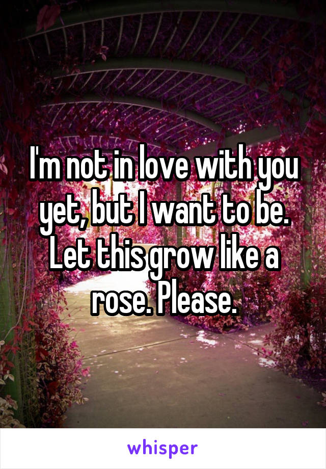 I'm not in love with you yet, but I want to be. Let this grow like a rose. Please.