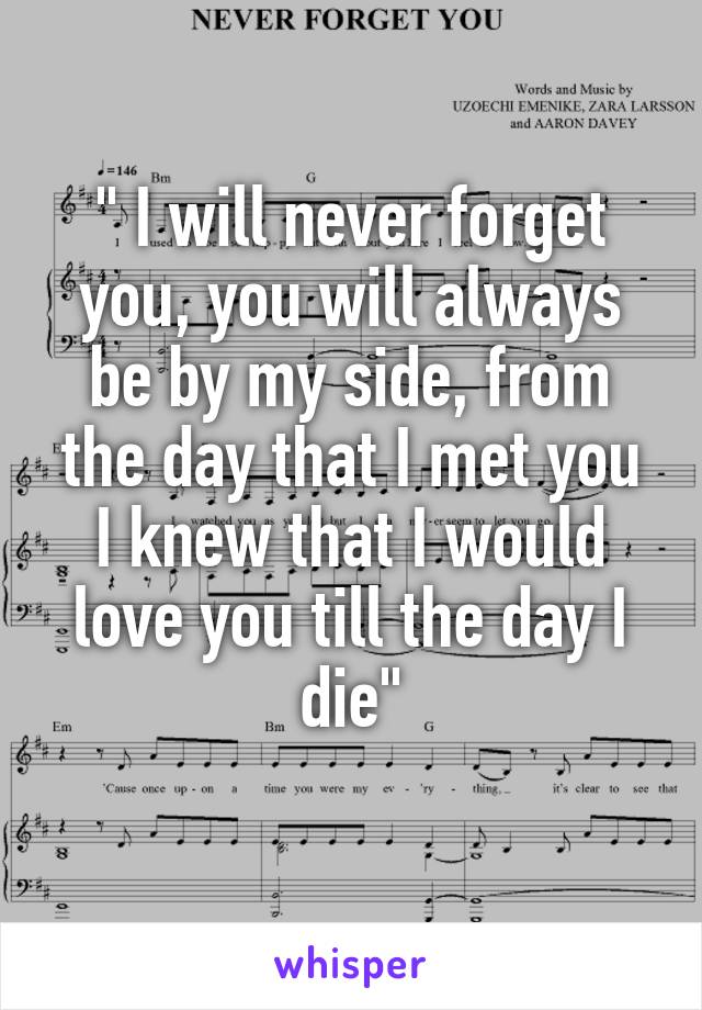 " I will never forget you, you will always be by my side, from the day that I met you I knew that I would love you till the day I die"
