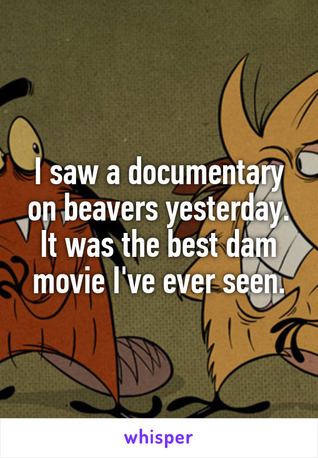 I saw a documentary on beavers yesterday. It was the best dam movie I've ever seen.