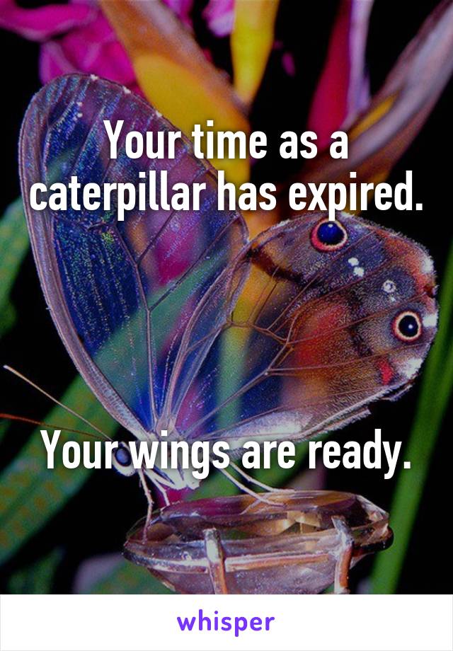 Your time as a caterpillar has expired. 



Your wings are ready. 