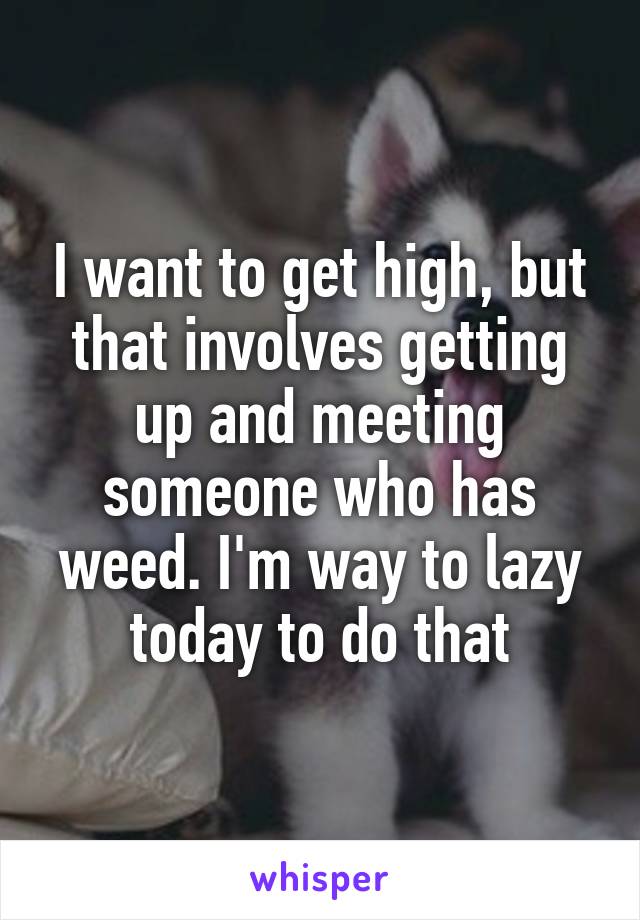 I want to get high, but that involves getting up and meeting someone who has weed. I'm way to lazy today to do that