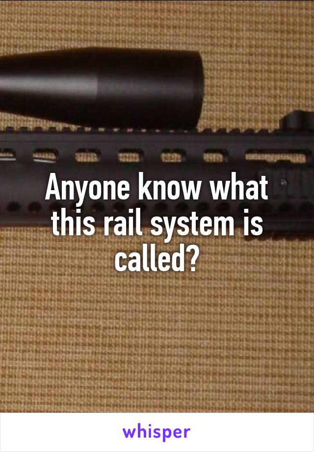 Anyone know what this rail system is called?