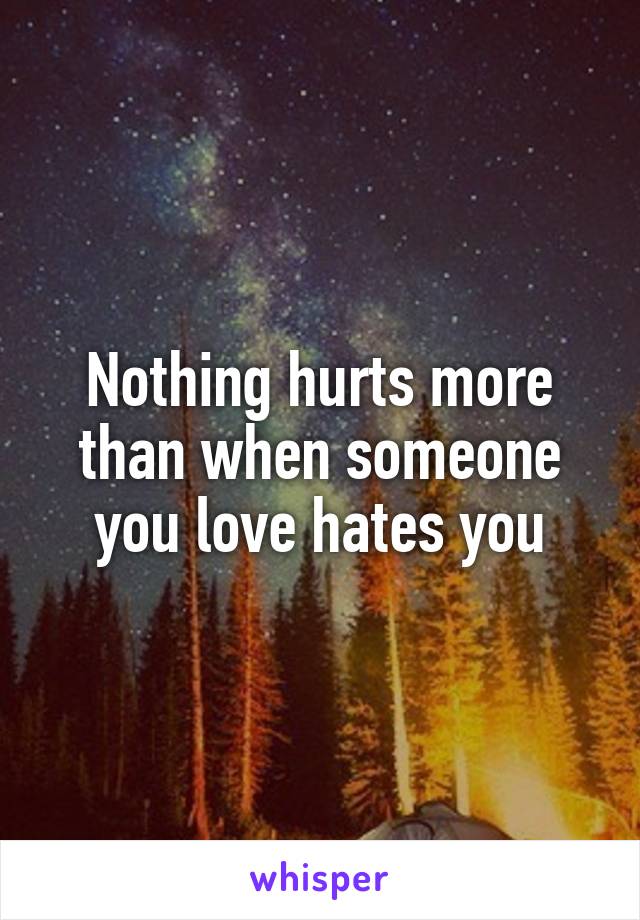 Nothing hurts more than when someone you love hates you