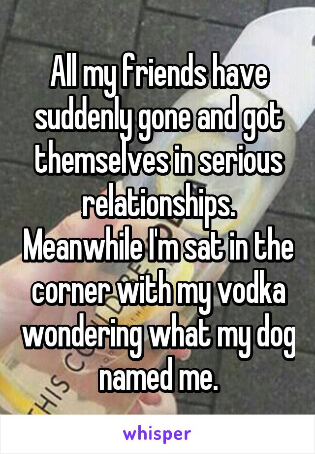 All my friends have suddenly gone and got themselves in serious relationships. Meanwhile I'm sat in the corner with my vodka wondering what my dog named me.