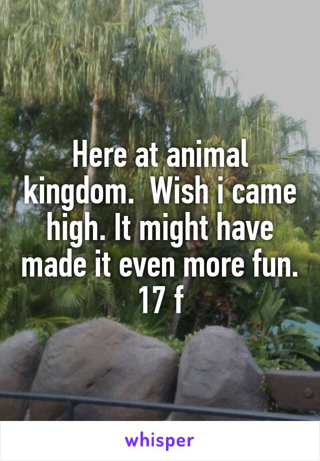 Here at animal kingdom.  Wish i came high. It might have made it even more fun. 17 f