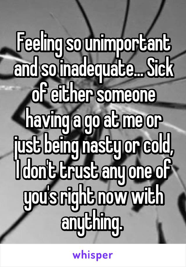 Feeling so unimportant and so inadequate... Sick of either someone having a go at me or just being nasty or cold, I don't trust any one of you's right now with anything. 