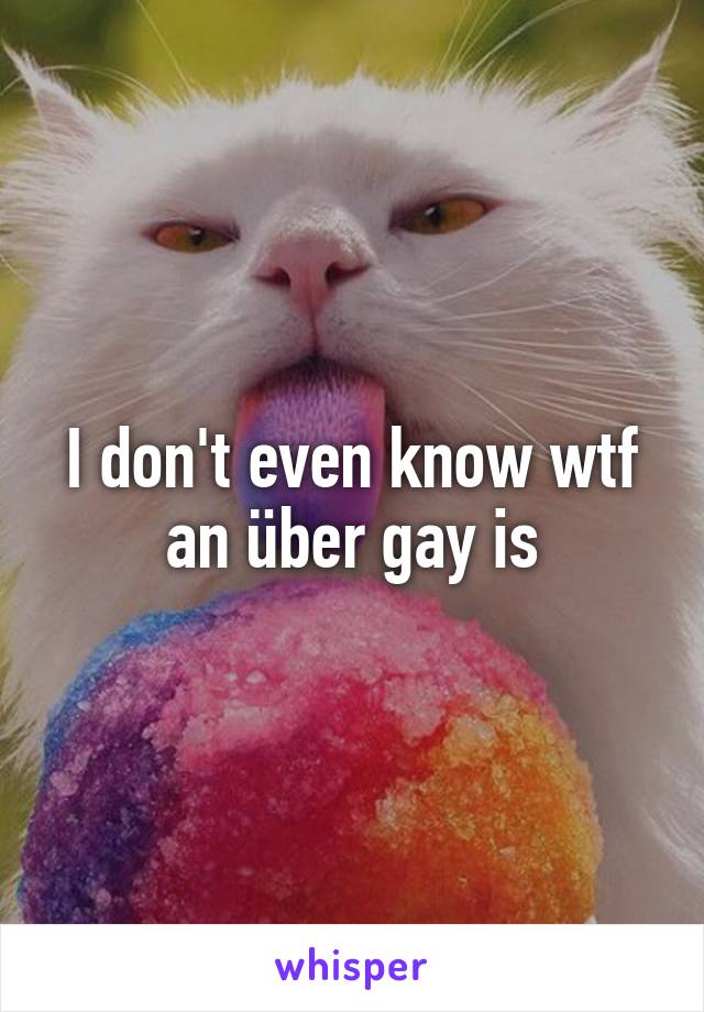 I don't even know wtf an über gay is