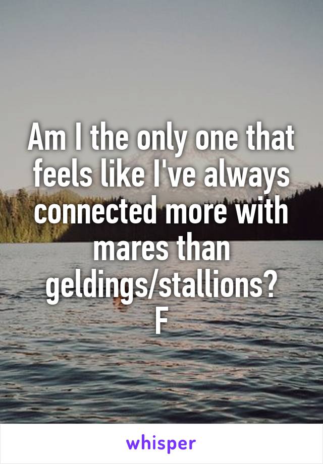 Am I the only one that feels like I've always connected more with mares than geldings/stallions?
F