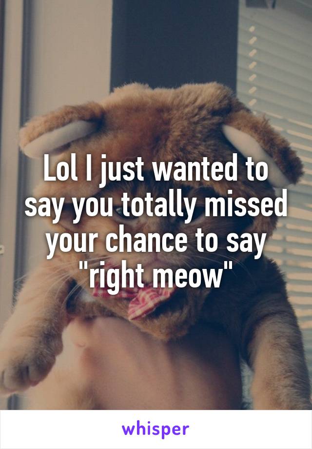 Lol I just wanted to say you totally missed your chance to say "right meow"