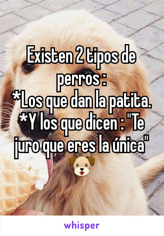 Existen 2 tipos de perros :
*Los que dan la patita.
*Y los que dicen : "Te juro que eres la única" 🐶