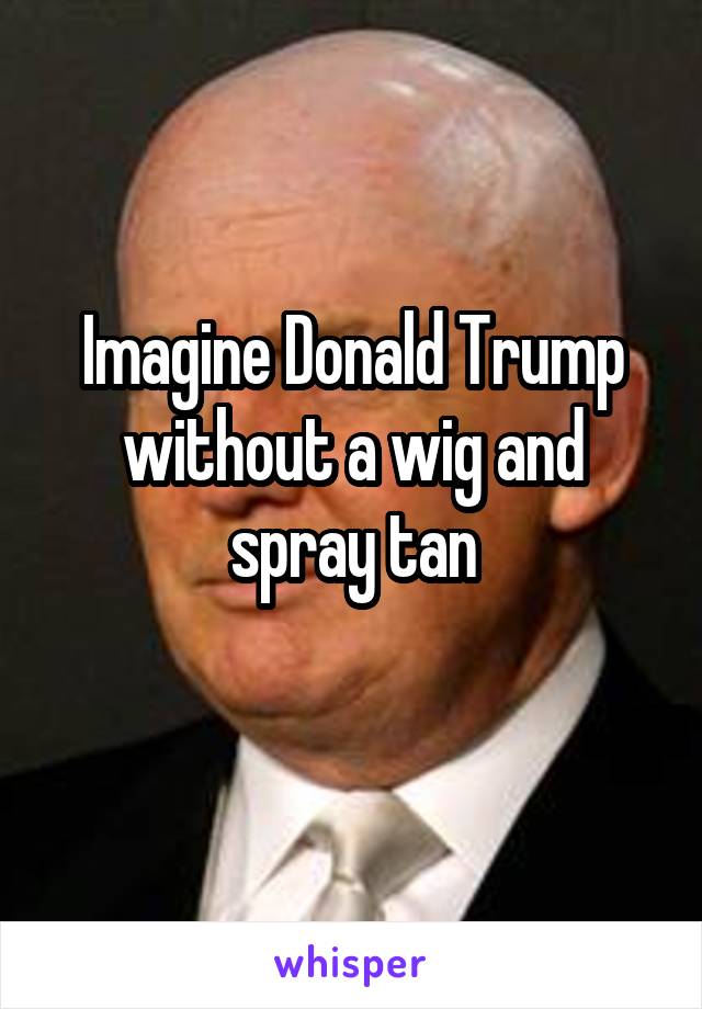 Imagine Donald Trump without a wig and spray tan
