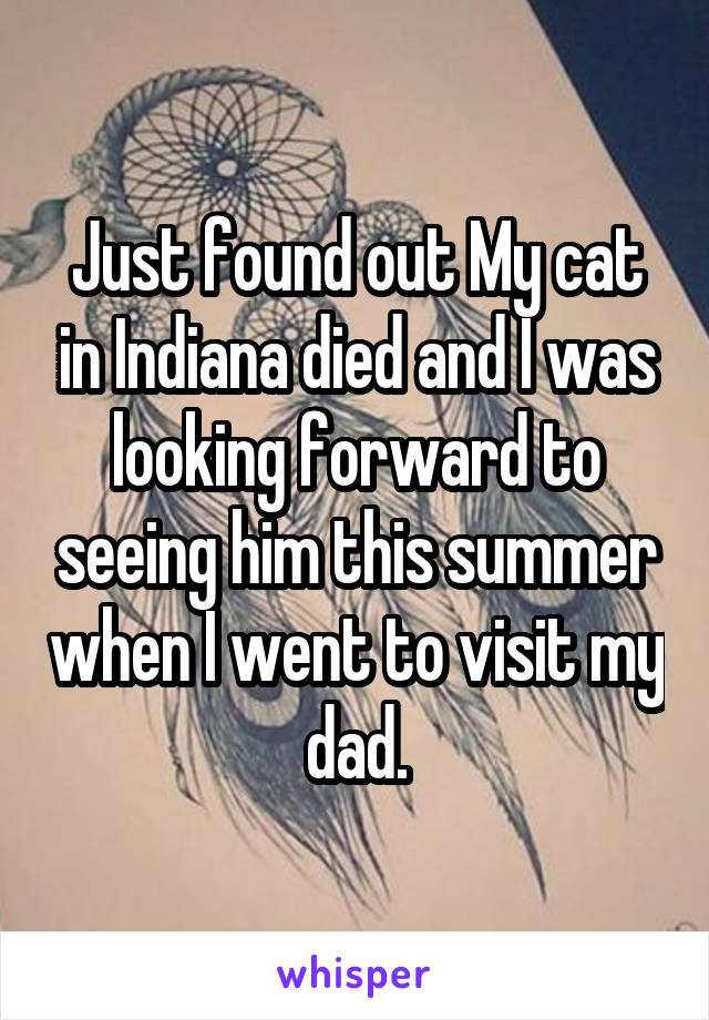 Just found out My cat in Indiana died and I was looking forward to seeing him this summer when I went to visit my dad.