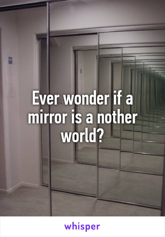 Ever wonder if a mirror is a nother world?