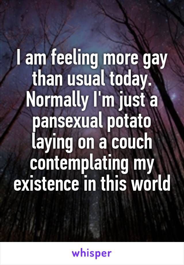 I am feeling more gay than usual today. Normally I'm just a pansexual potato laying on a couch contemplating my existence in this world 