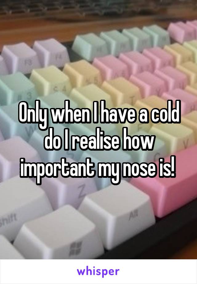 Only when I have a cold do I realise how important my nose is! 