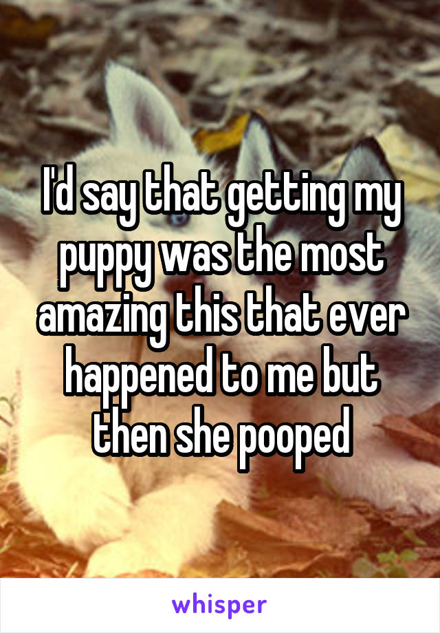 I'd say that getting my puppy was the most amazing this that ever happened to me but then she pooped