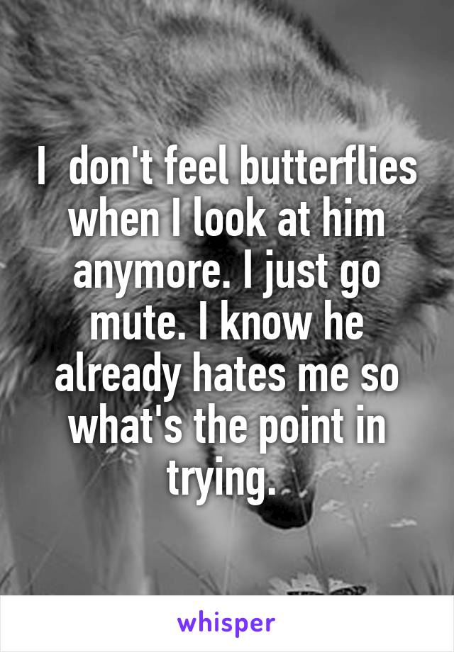 I  don't feel butterflies when I look at him anymore. I just go mute. I know he already hates me so what's the point in trying. 