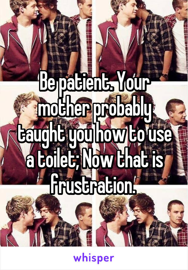 Be patient. Your mother probably taught you how to use a toilet; Now that is frustration. 