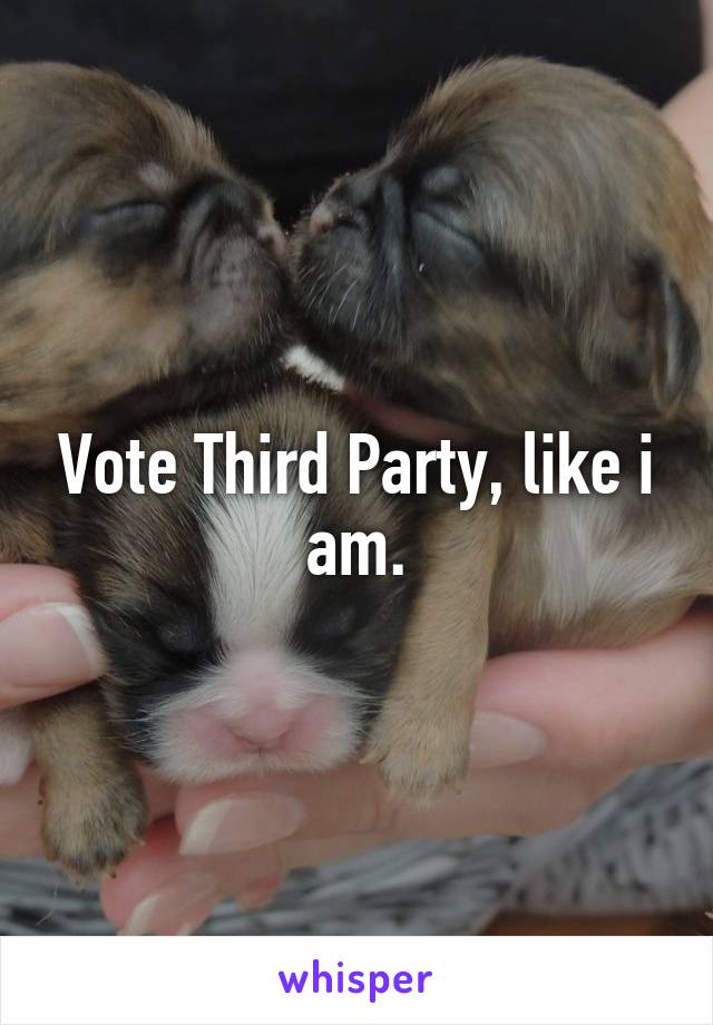 Vote Third Party, like i am.