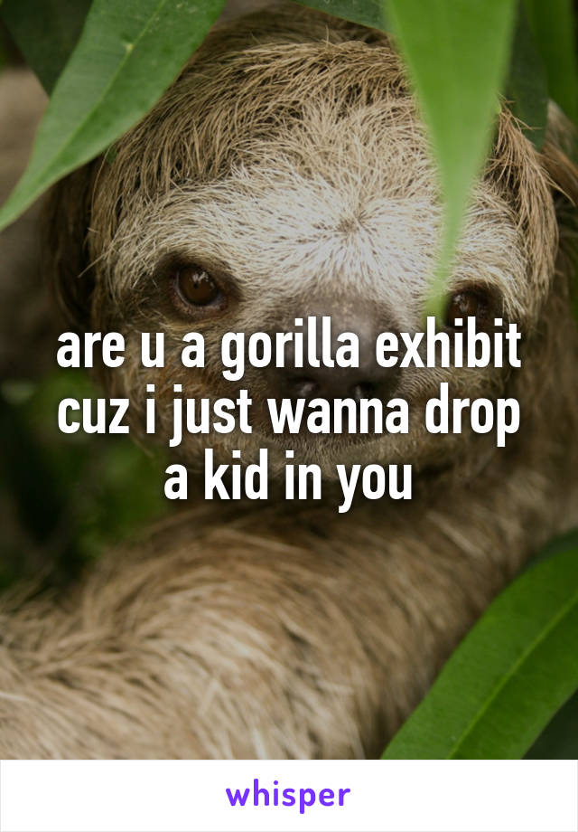 are u a gorilla exhibit cuz i just wanna drop a kid in you