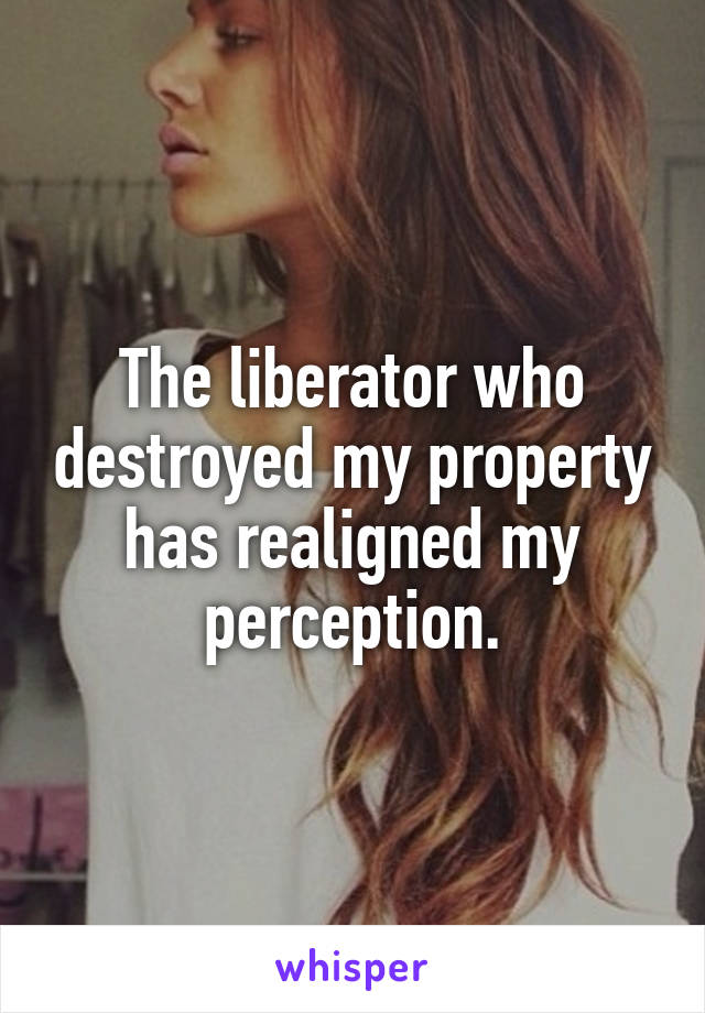 The liberator who destroyed my property has realigned my perception.