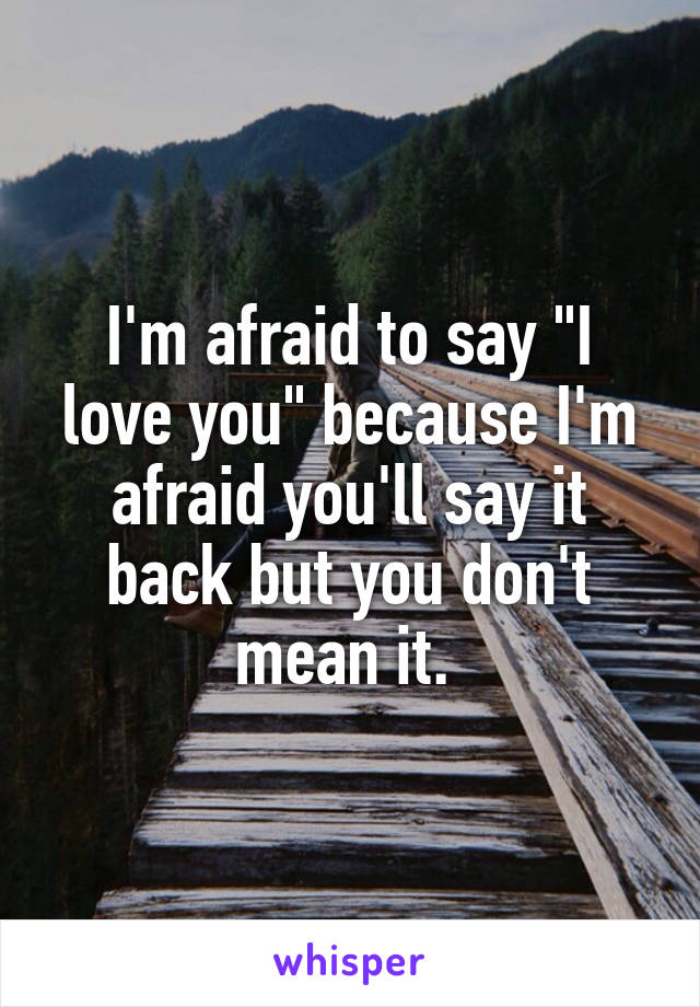 I'm afraid to say "I love you" because I'm afraid you'll say it back but you don't mean it. 