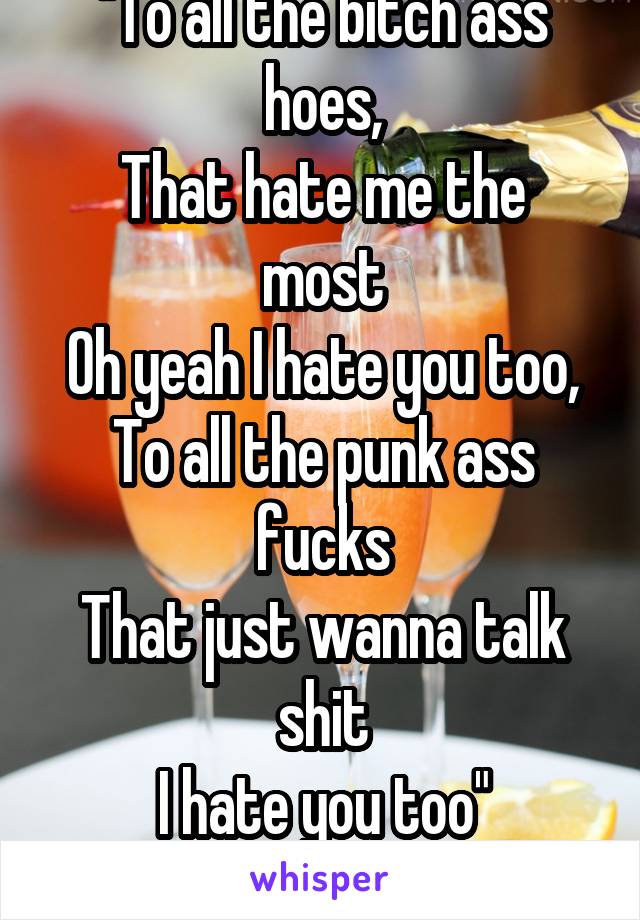 "To all the bitch ass hoes,
That hate me the most
Oh yeah I hate you too,
To all the punk ass fucks
That just wanna talk shit
I hate you too"
Cherub