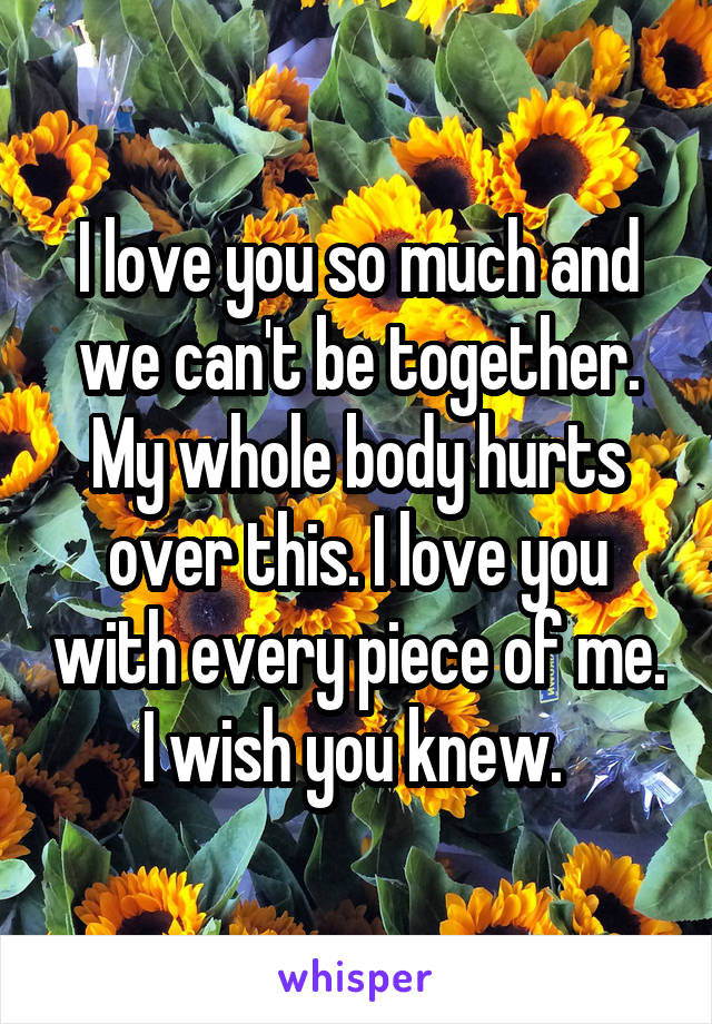 I love you so much and we can't be together. My whole body hurts over this. I love you with every piece of me. I wish you knew. 