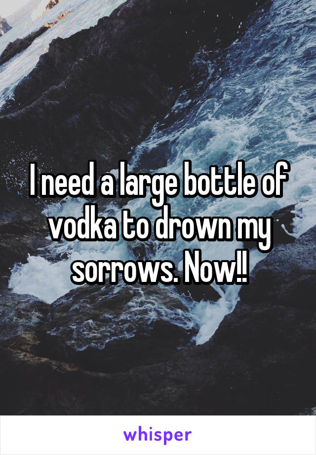 I need a large bottle of vodka to drown my sorrows. Now!!