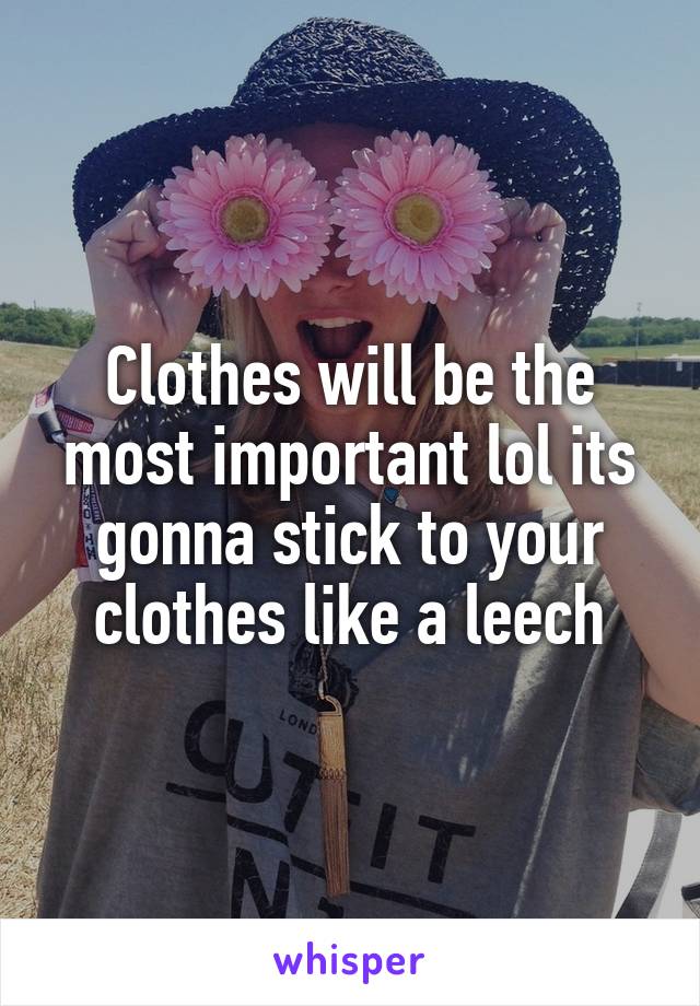 Clothes will be the most important lol its gonna stick to your clothes like a leech