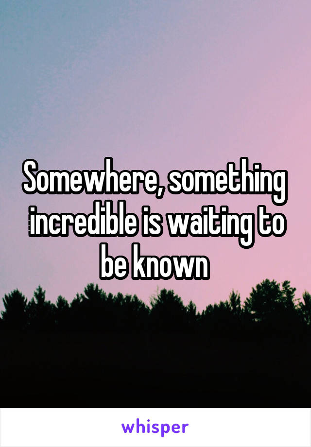 Somewhere, something  incredible is waiting to be known 