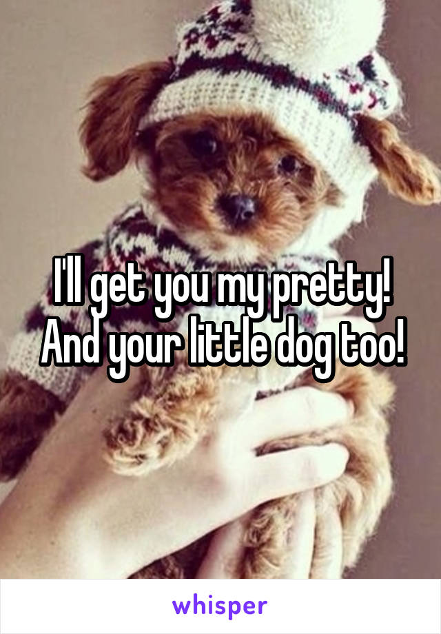 I'll get you my pretty! And your little dog too!