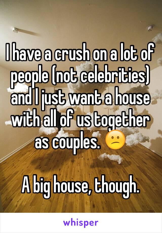 I have a crush on a lot of people (not celebrities) and I just want a house with all of us together as couples. 😕

A big house, though. 