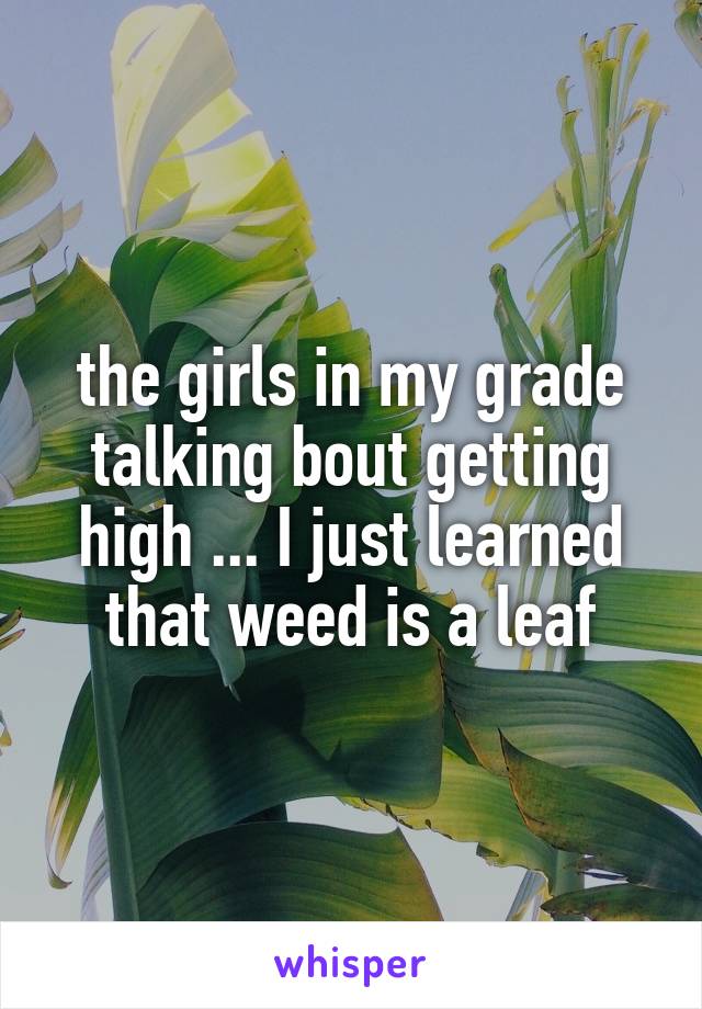 the girls in my grade talking bout getting high ... I just learned that weed is a leaf