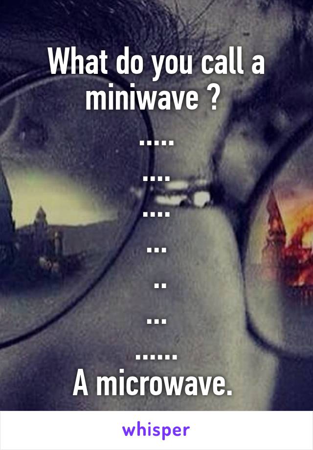 What do you call a miniwave ? 
.....
....
....
...
 ..
...
......
A microwave. 