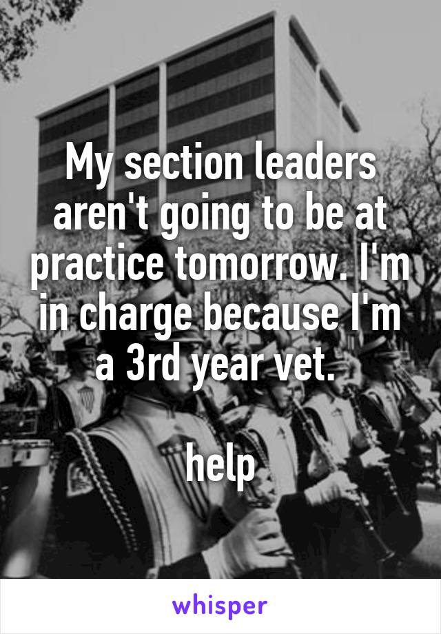 My section leaders aren't going to be at practice tomorrow. I'm in charge because I'm a 3rd year vet. 

help