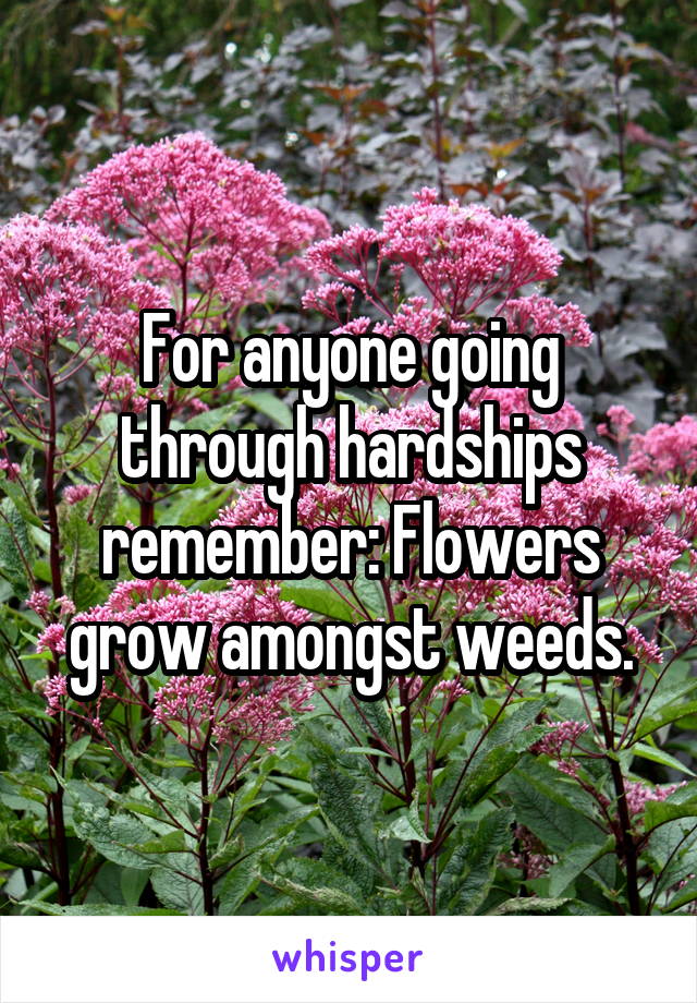 For anyone going through hardships remember: Flowers grow amongst weeds.